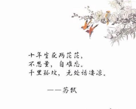 秋之韵——25首唯美诗句