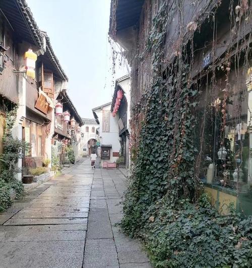 江南水乡的唯美之旅（水墨画般的景致）