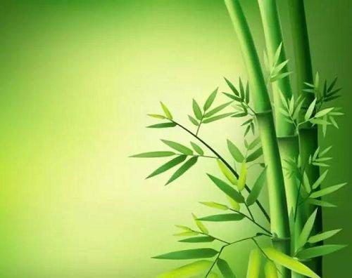 美丽的绿色，美妙的诗句（美丽的绿色）