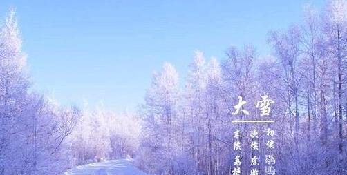雪落静谧，美丽梦幻（唯美短句描绘纯净的世界）
