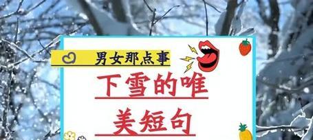 雪落静谧，美丽梦幻（唯美短句描绘纯净的世界）