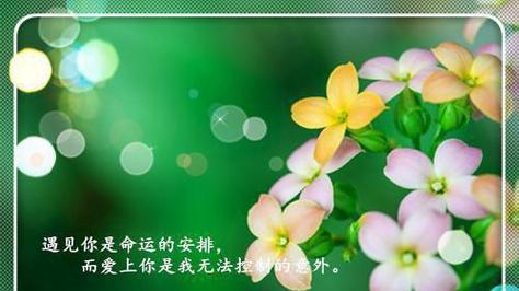 生命的瞬间（用唯美诗句体验人类存在的渺小）