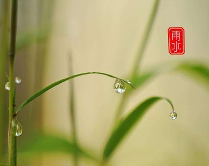 万物复苏，春意盎然