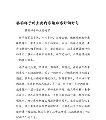 祥子的孤独旅程（以骆驼祥子第三章好句赏析为线索）