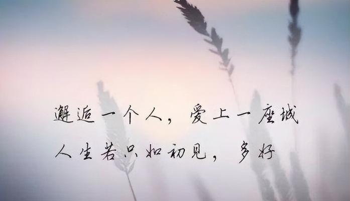 长久如初（探寻真正的爱情魔力）