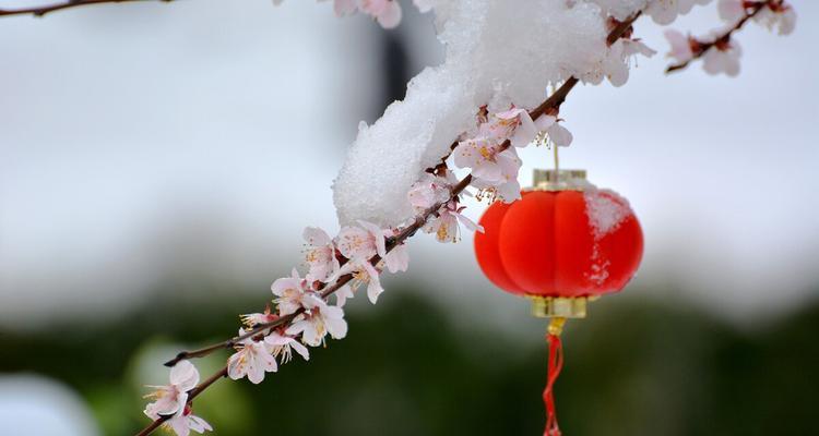 春雪，优美如画（清新脱俗）