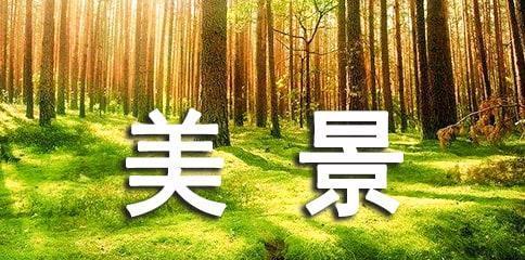 乡村之美（描写乡村美景的唯美句子）