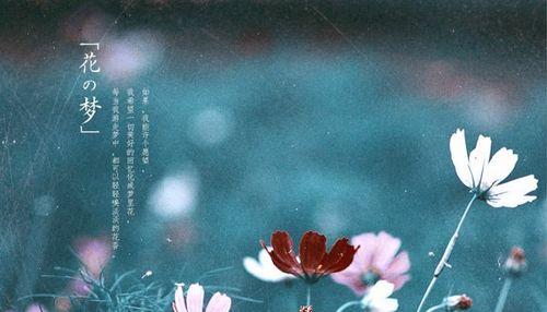 唯美诗句（探寻美好意义）
