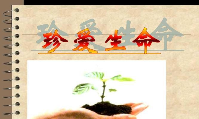 珍爱生命，追逐美好（用唯美短句）