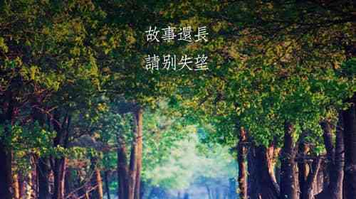 唯美短句齐飞，感受告别之美（唯美短句齐飞）