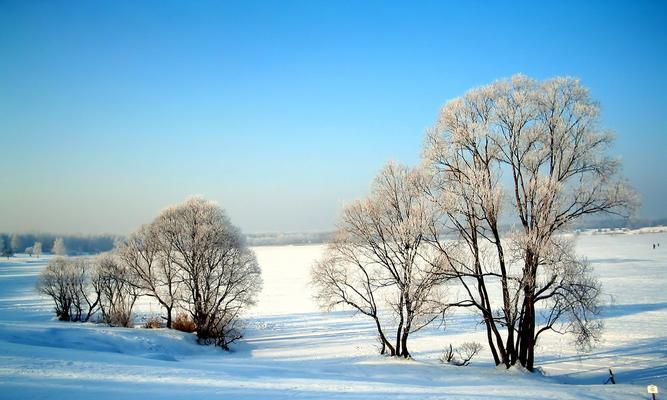 冬雪唯美景致：银白世界