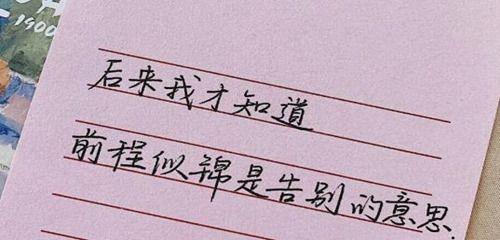 探寻深情的美丽（探寻深情的美丽）