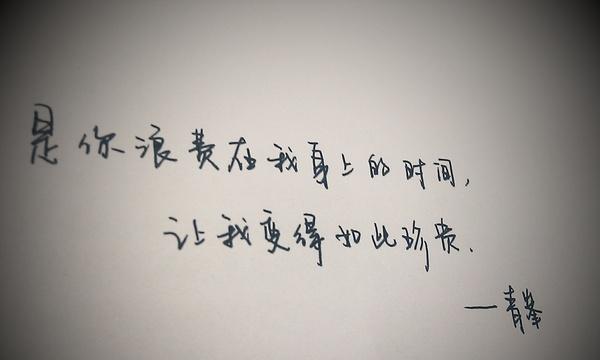 探寻深情的美丽（探寻深情的美丽）