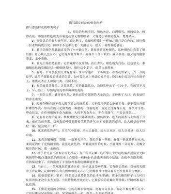 万众瞩目唯美多彩（人潮汹涌花团锦簇）