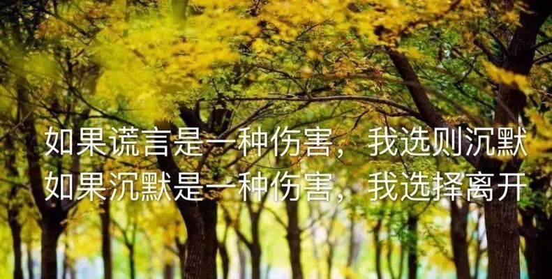 沉默的伤感唯美（倾听内心深处的痛楚）