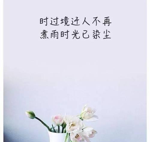 唯美短句，点亮人生（从这25个段落里）