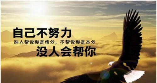 唯美短句，点亮人生（从这25个段落里）