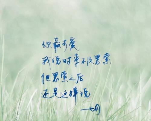 感受夏天的美好（感受夏天的美好）