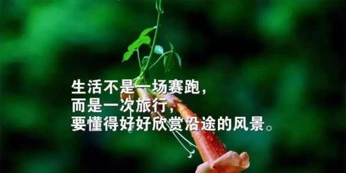 寻觅人生中的美好（用精辟人生的感悟唯美句子）