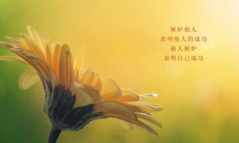 用心感受生命的美好（高质量的人生需要唯美短句相伴）