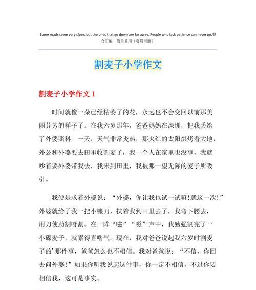 关于芒种的作文1500字（《芒种时分，麦田里的童趣与哲思》）