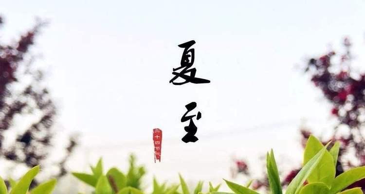 唯美句子赏析（唯美句子赏析）