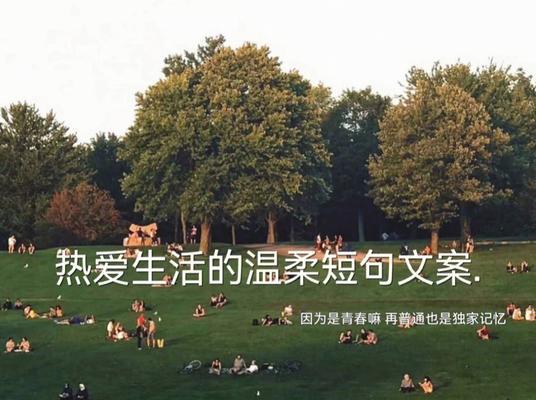 热爱生活，成就美好人生（用唯美短句）