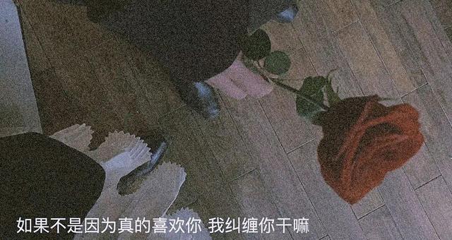 深夜的唯美世界（宁静的夜空下）