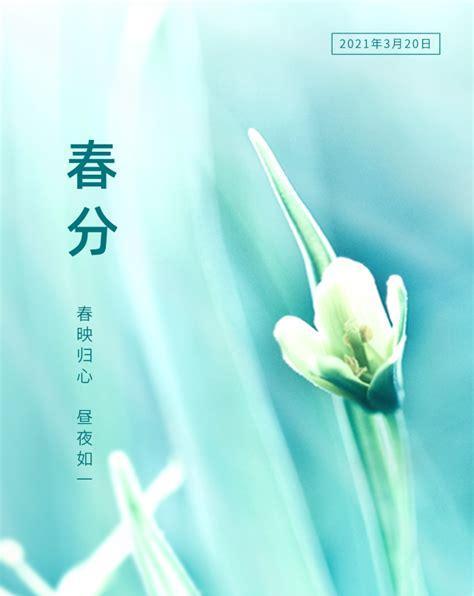 流年落笔，唯美如诗（2024年春分）
