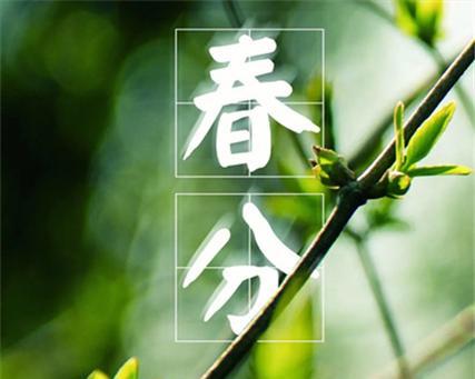 流年落笔，唯美如诗（2024年春分）