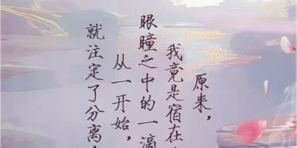 《花落人亡，唯有情殇》