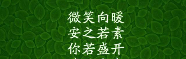 向人生的无限美好奔跑（25个唯美短句）