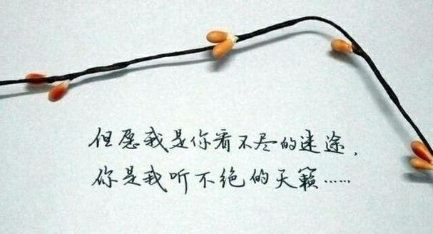 寻找内心的芬芳（寻找内心的芬芳）