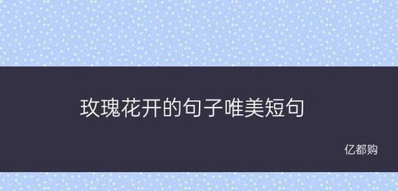 寻找内心的芬芳（寻找内心的芬芳）