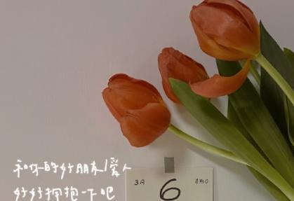 温暖如春的朋友圈（用唯美句子）
