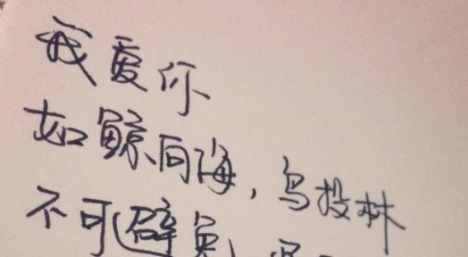 如梦似幻的唯美句子（用温柔走心的语言）