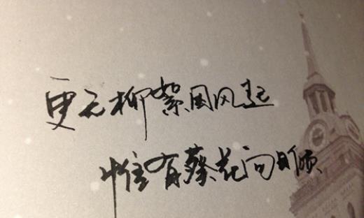 唯美治愈：冬日暖心