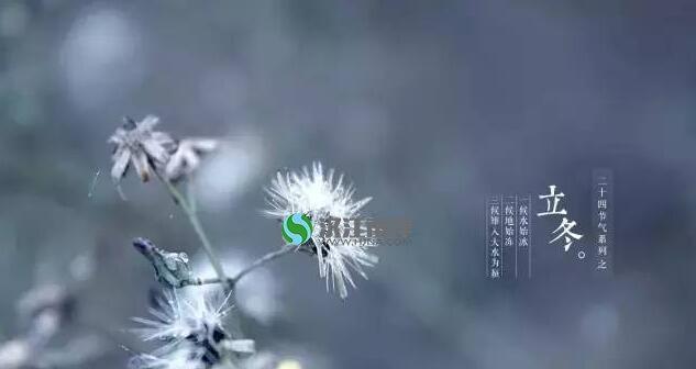 冬之美欣之怡（探寻立冬美景关注季节之美）