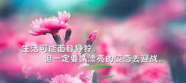 感悟生命的美好（唯美短句中的人生哲理）