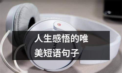人生感悟的唯美句子（人生感悟的唯美句子）