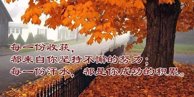 人生感悟的唯美句子（人生感悟的唯美句子）