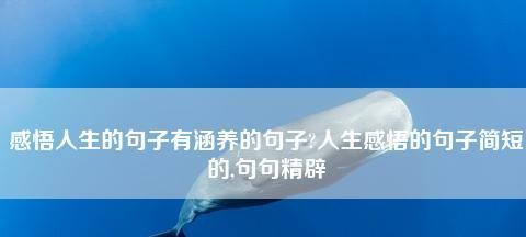 唯美句子，如诗如画（探寻深度与涵养）