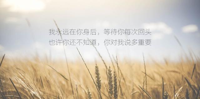 看见你心疼的样子（唯美短句细述爱的深情）