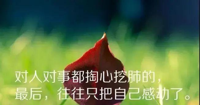心情不好，唯美句子倾诉（落寞的心）