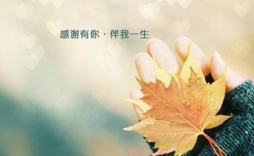 以感恩之心，纪念美好（以感恩之心）