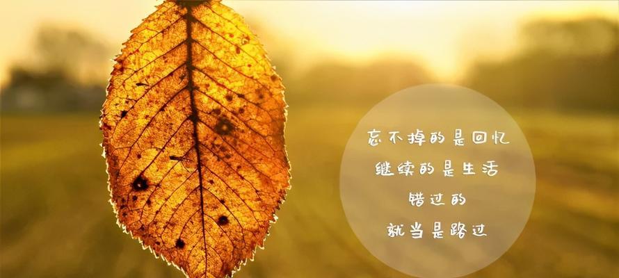以感恩之心，纪念美好（以感恩之心）