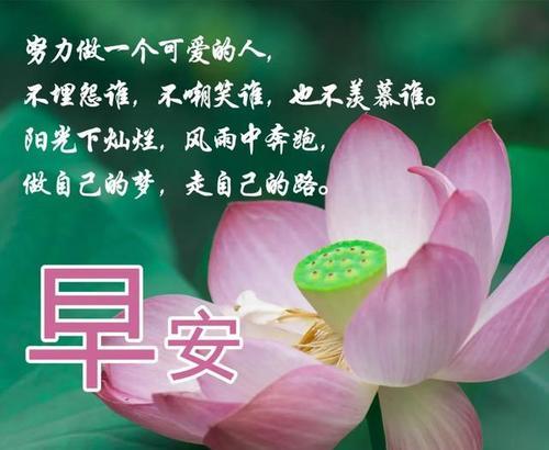唯美自然-以简单快乐的心态赏景（用唯美短句感悟自然之美）