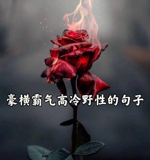 高傲不自觉，美丽不可挡（高傲不自觉）