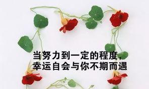 走进清新的简单生活，享受美好心情（走进清新的简单生活）