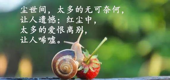 美好比喻，温暖心灵（美好比喻）